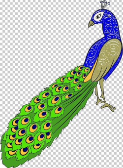 Drawing Peafowl PNG, Clipart, Animals, Beak, Bird, Boy C ...