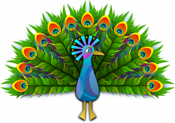 Obraz zdarma na Pixabay - Páv, Pávice, Peachick, Pták