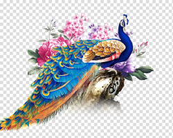 Blue and multicolored peacock illustration, China Paper ...