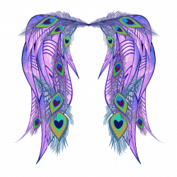 Peacock Feather Angel Wings – thestarvingartista