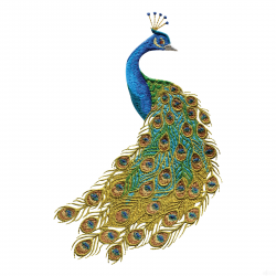 Swnpa135 Peacock Embroidery | peacocky | Peacock embroidery ...