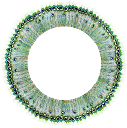 Peacock Round Frame Transparent PNG Clip Art | Gallery Yopriceville ...