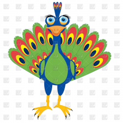 Cartoon peacock front view Stock Vector Image | Free ...