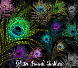 Glitter Peacock Feather Clipart