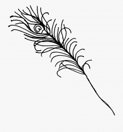 Peacock Png Transparent - Line Art #1019983 - Free Cliparts ...