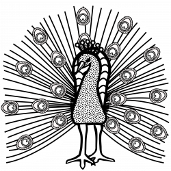 Clipart - peacock - lineart