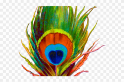Flute Clipart Mor Pankh - Peacock Feather Krishna Png ...