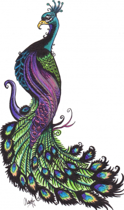 Peafowl Clipart peacock colour 4 - 842 X 1429 Free Clip Art ...