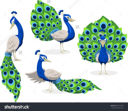 Peacock Standing Peafowl Green And Blue Feathers, Vector ...