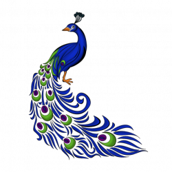Peacock Right, Peacock Right Side, Blue Peacock, Vector PNG and PSD ...