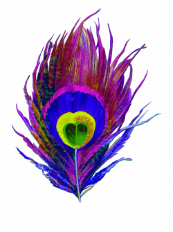 Purple, Peacock, Bird, Feather, Colorful, Eye, Designs ...