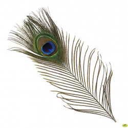 Peacock Feather With Flute Wallpaper Full Hd ~ Click ...