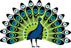 Image result for simple colorful peacock drawing | Projects ...