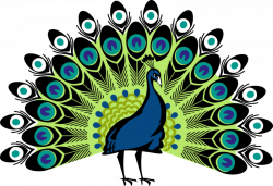 Best 50+ Peacock Clipart Images Free Download 【2018】