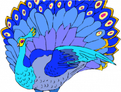 Download Peacock Clipart Summer - Turkey PNG Image with No ...