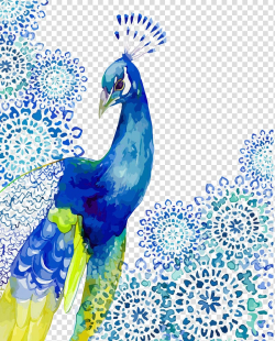Blue and green peacock illustration, Watercolor painting ...