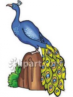 Peacock on a Tree Stump - Royalty Free Clipart Picture