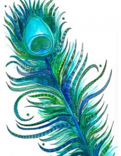 Turquoise Peacock Feather | Clipart Panda - Free Clipart Images
