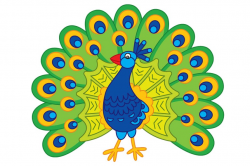 Vector Peacock, Vector Feather ~ Illustrations ~ Creative Market