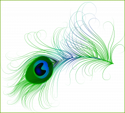 Appealing Peacock Feather Png Clip Art Image Pic Of Graphic ...