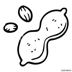 Collection of Peanut clipart | Free download best Peanut ...