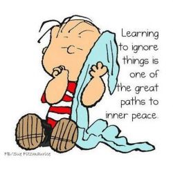 Wise words from Linus! | Lucyisms | Peanuts quotes, Snoopy ...