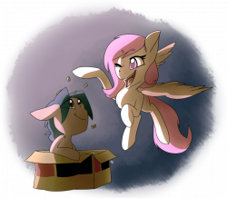 1135833 - artist needed, box, oc, oc:feathersong, oc only, oc:silver ...