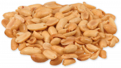 Peanut PNG Transparent Peanut.PNG Images. | PlusPNG