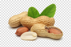Peanut , Deep-fried peanuts Peanut oil Tree nut allergy ...