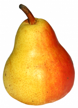 Pear Fruits PNG Image - PurePNG | Free transparent CC0 PNG Image Library