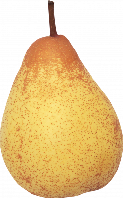 Pear PNG Image - PurePNG | Free transparent CC0 PNG Image Library