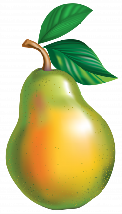 Asian pear Fruit Clip art - pear png download - 2367*4144 ...