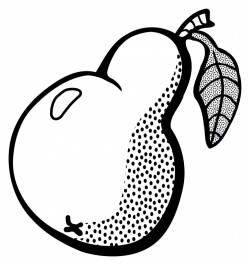 Clipart - pear - lineart