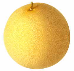 Cantaloupe PNG Clipart Picture | Gallery Yopriceville - High ...