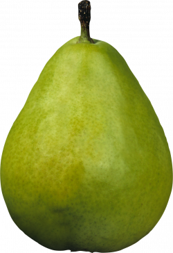 Pears PNG Image - PurePNG | Free transparent CC0 PNG Image Library