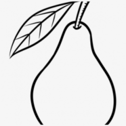 Pear Clipart Line Drawing - Pear Black And White #282244 ...