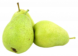 Pear PNG Transparent Images Free Download Clip Art - carwad.net