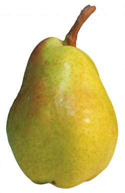 Pear PNG Transparent Images Free Download Clip Art - carwad.net