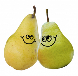A Pair Of Pears Free Stock Photo - Public Domain Pictures