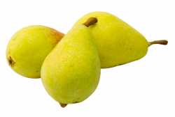 Pear Fruit png - Free PNG Images | TOPpng