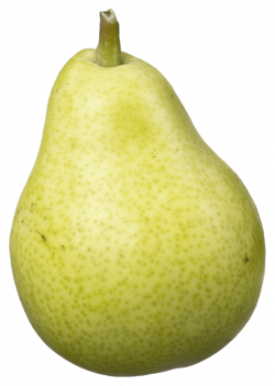 Pear Fruit png - Free PNG Images | TOPpng