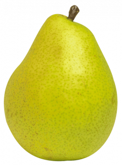 pear fruit png - Free PNG Images | TOPpng