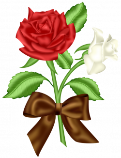 Blue rose Flower Clip art - One red and one white roses 783*1024 ...