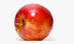 Apple Fruit Clipart One Apple - Individual Fruits And ...