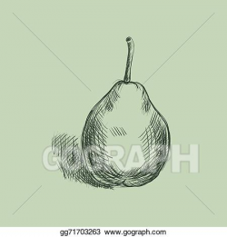Vector Stock - Sketch of a pear. hand-drawn. Clipart ...