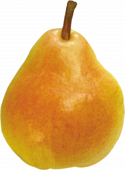 Pears PNG Image - PurePNG | Free transparent CC0 PNG Image Library