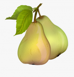 Pear Free Download Png - Transparent Background Pear Clipart ...