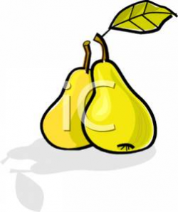 Two Pears Side By Side - Royalty Free Clipart Picture
