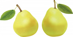 pear png - Free PNG Images | TOPpng