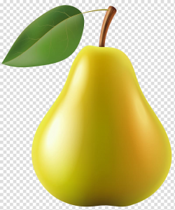 Yellow pear fruit, Pear , Pear transparent background PNG ...